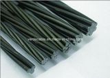Galvanized Stranded Steel Wire