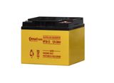 Tank-Formed Plates Lead Acid Battery with Solid Copper Terminal