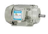 Three Phase Energy-Saving, High Efficiency Ie2 Electric Motor