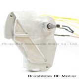 Brushless DC Electrical Motor for Machines