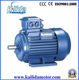 3.0kw Three Phase Strong Torque Drive Motor