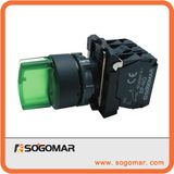 Momentary Push Button 12V/24V/110V/220V LED Illuminated Switch