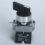 IP40 Longer-Handle Type Pushbutton Switch