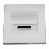 Sc Fiber-Optic Faceplate with 2 Ports