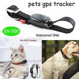 Real Time Map Location Pet GPS Tracker (EV-200)