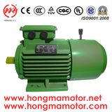 DC Brake Three Phase Induction Motor