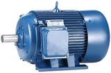 Y Series Electric Motor with CE Certificate