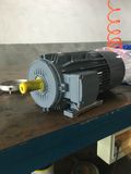 Brake Motor - Cast Iron - Standard Efficiency - S1