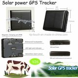Animal GPS Tracker with Solar Power Charging (V26)