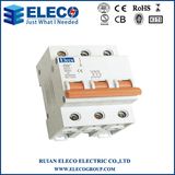 High Quality Mini Circuit Breaker with Ce (EBKN)