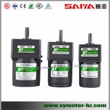 60mm 6W AC Micro Induction Motor