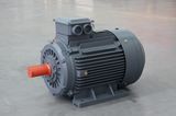 Ye2-H Series High Efficiency Sealing-in Marine Motor