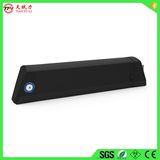Customized 36V10.4ah Thunder Electric Bike Battery