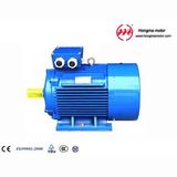2HMI-Ie2 (EFF1) Series Cast Iron Housing High Efficiency Electric Motor