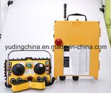 DC24V Ce Approved Telecrane Radio Remote Control for Concrete Pump, Tower Crane