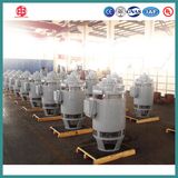 NEMA Standard Vertical Hollow Shaft Pump Motor