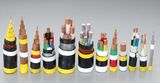 Multi-Core XLPE Insulated Power Cable