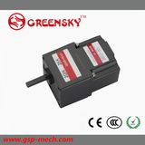 Top Selling in Europe 10W 60mm High Voltage Brushless DC Motor