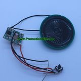 Recording Voice Module
