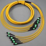 High Quality MPO-MPO 12, 24, 48, 96cores Fiber Patch Cord