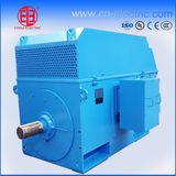High Voltage Slip Ring Motor for Drawbenchs/Big Blower/ Compressor