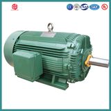 Ie2 High Efficiency AC Induction Motor