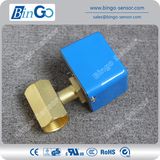 Brass Paddle Type Flow Switch