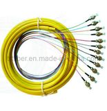 Optic Fiber, Pigtail OM1 62.5/125 Multimode 12 Fiber Distribution, Fiber Optic Pigtail