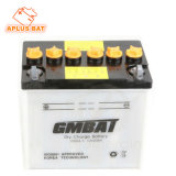 Geat Starting Performance for Lawn Mower Battery 12V 24ah 12n24-3A