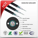 12 Core Sm Armored Outdoor Optic Fiber Cable GYXTW