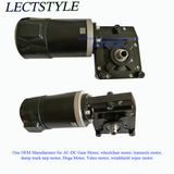 12V 24V 240W 300W 350W DC Worm Gear Motor on Electric Golf Trolley