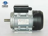 ML Two-value capacitor single-phase induction motor 2