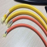 24core LC-LC Sm Multi-Core Fiber Patch Cord/Distribution Cable with 2m Length