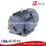 Beide Three Phase Induction Motor, Cast Iron, IP55, IC411