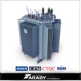 33kv 6300kVA Oil Immersed Overhead Distribution Copper Transformer