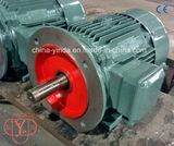 30HP High Efficiency Tefc -IP55 Three Phase AC Motor
