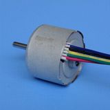 Brushless DC Motor (BLDC) for Power Tool and Medical Device