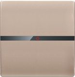 British Standard Golden One Gang Wall Switch Flat