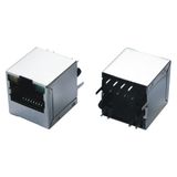 Vertical RJ45 Network Jack with Transformer