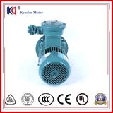 High Torque AC Ex-Proof Electric Motor for Crane