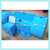 Variable Frequency Adjustable Speed Motor