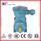 Yb3-80m2-2 Cast Iron Electric Explosion Proof AC Motor