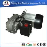 AC Single Phase Asynchronous Induction Electric Gear Motor