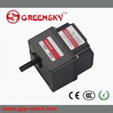 GS High Quality 60W 80mm Low Voltage DC Brushless Motor