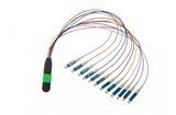 12 Core Singlemode MPO to LC Patch Cord