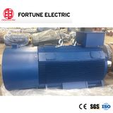Y2vp Series Three Phase AC Motor Variable Frequency Motor