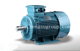 Ye2-355L-8 185kw Cast Iron Three Phase Electric and Induction Motor