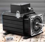 AC Permanent Magnet Servo Motor (300ysa20f 215nm 2000rpm)