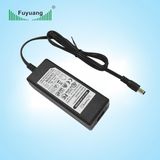 Fuyang Level VI AC DC 12V 5A Power Adapter