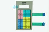 Membrane Switch Keypad with Metal Domes and Berg Connector